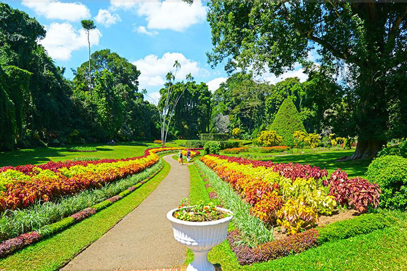 royal-botanical-gardens-peradeniya